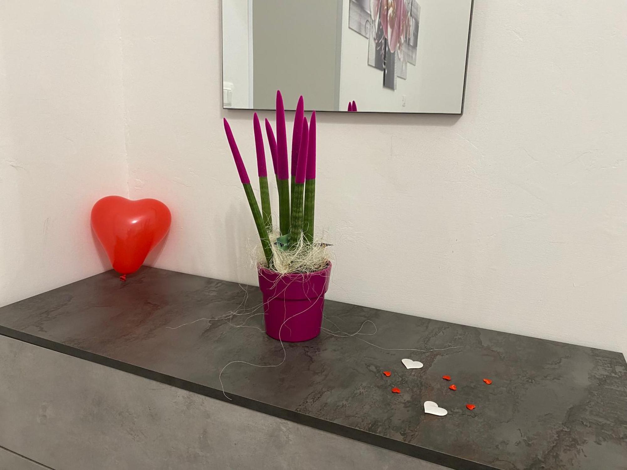 Le Regioni Del Cuore ヴィエステ エクステリア 写真